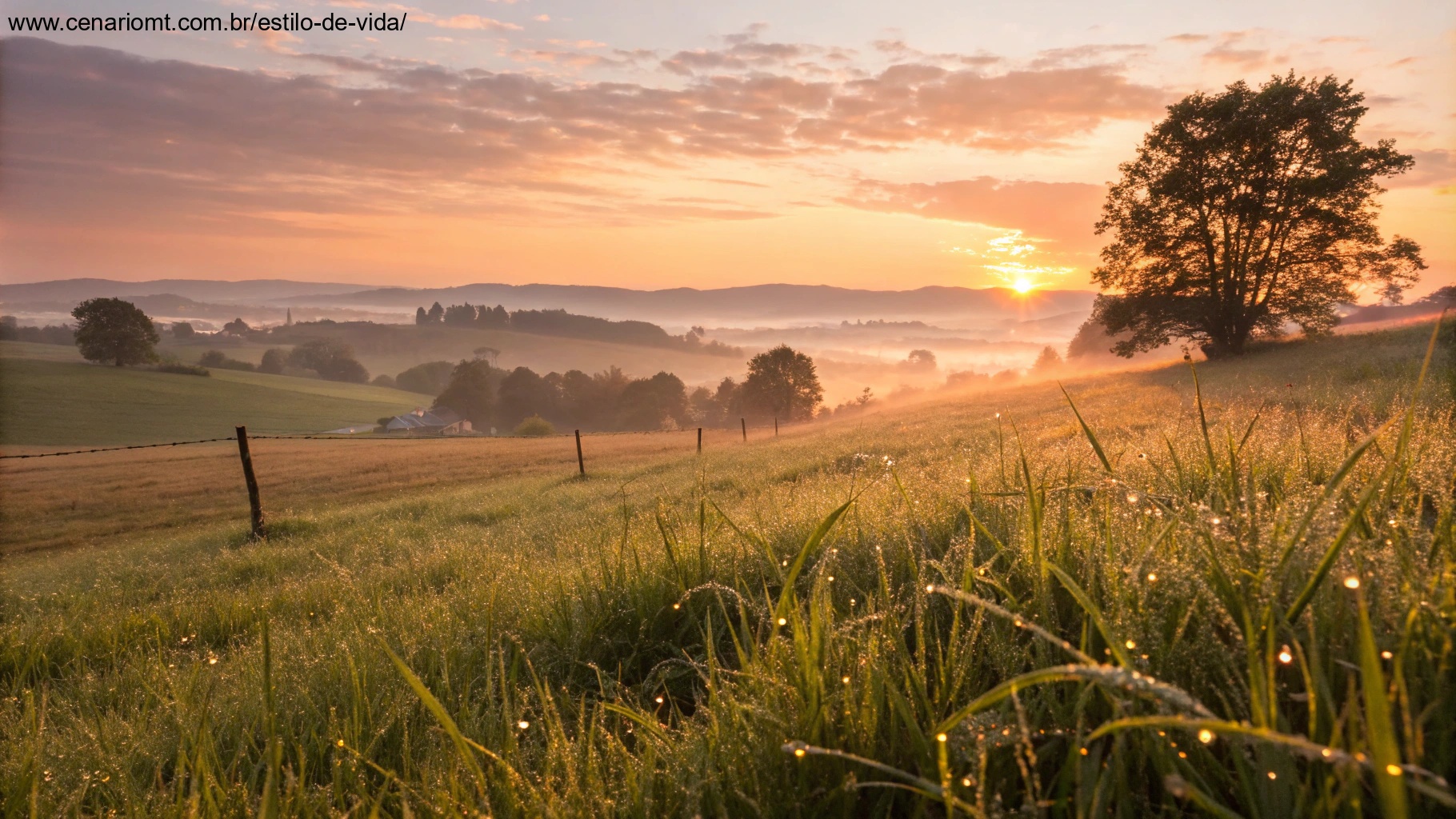imagem de um nascer do sol sereno sobre o campo, transmitindo positividade e paz.