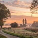 imagem de um amanhecer tranquilo na quinta-feira com tons dourados iluminando a paisagem