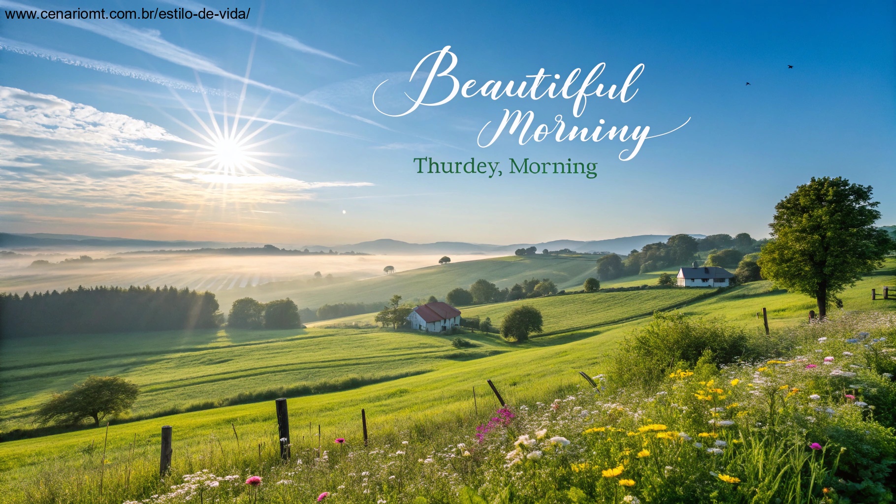 imagem de um amanhecer tranquilo com sol brilhando em um campo verde, simbolizando inspiração e positividade para uma manhã de quinta-feira