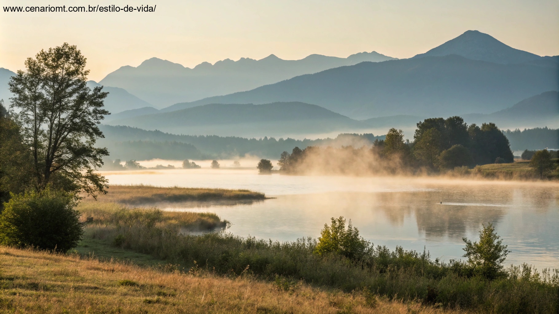 Imagem de um amanhecer sereno com luz suave iluminando uma paisagem natural tranquila.