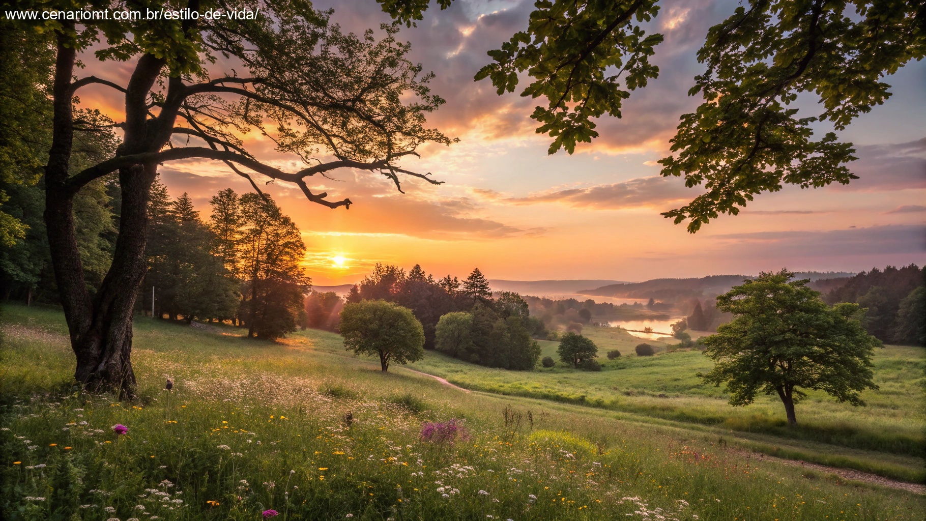 Imagem de um pôr do sol tranquilo em um campo sereno, representando positividade e gratidão.