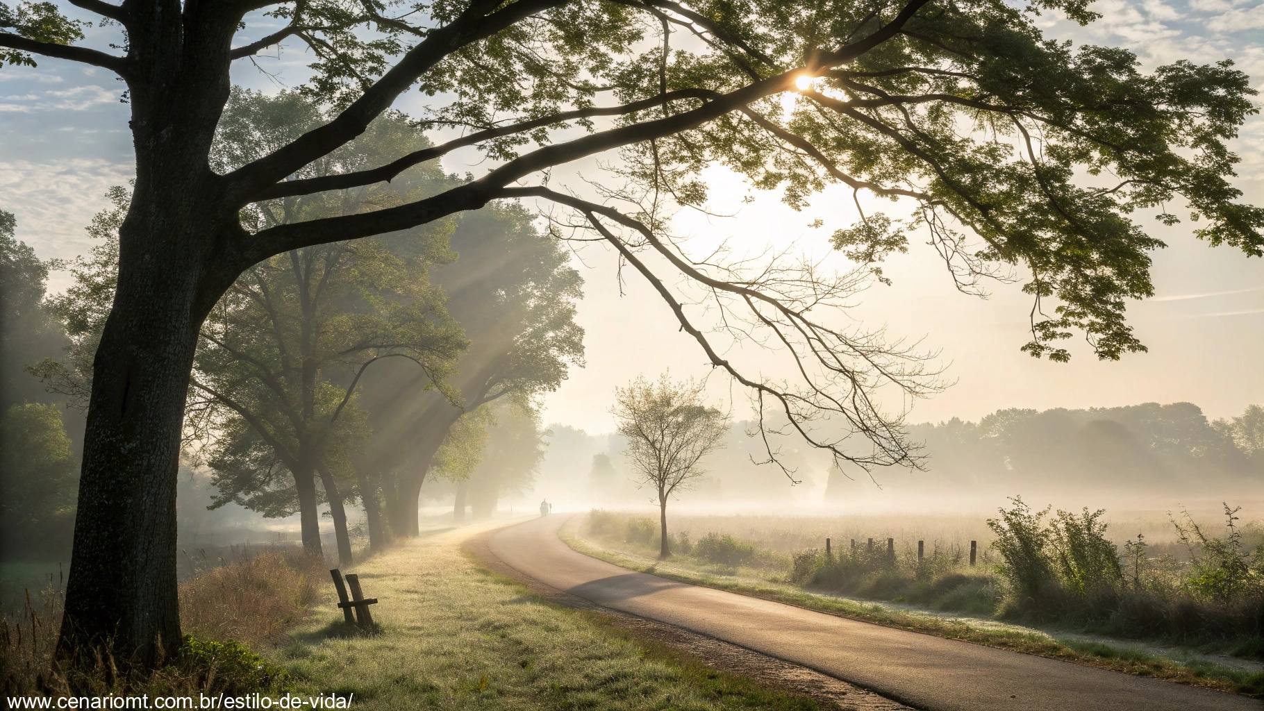 imagem de um amanhecer tranquilo com raios de sol entre árvores, simbolizando positividade e inspiração