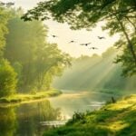 imagem de uma manhã tranquila com luz do sol entre árvores e um rio sereno