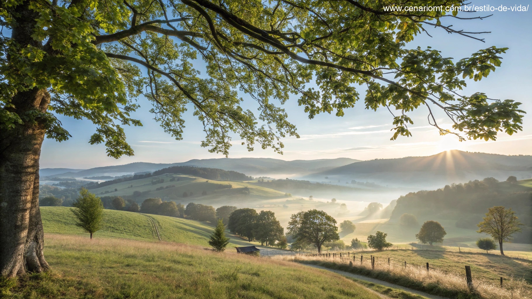 Paisagem matinal serena com luz suave simbolizando fé e esperança