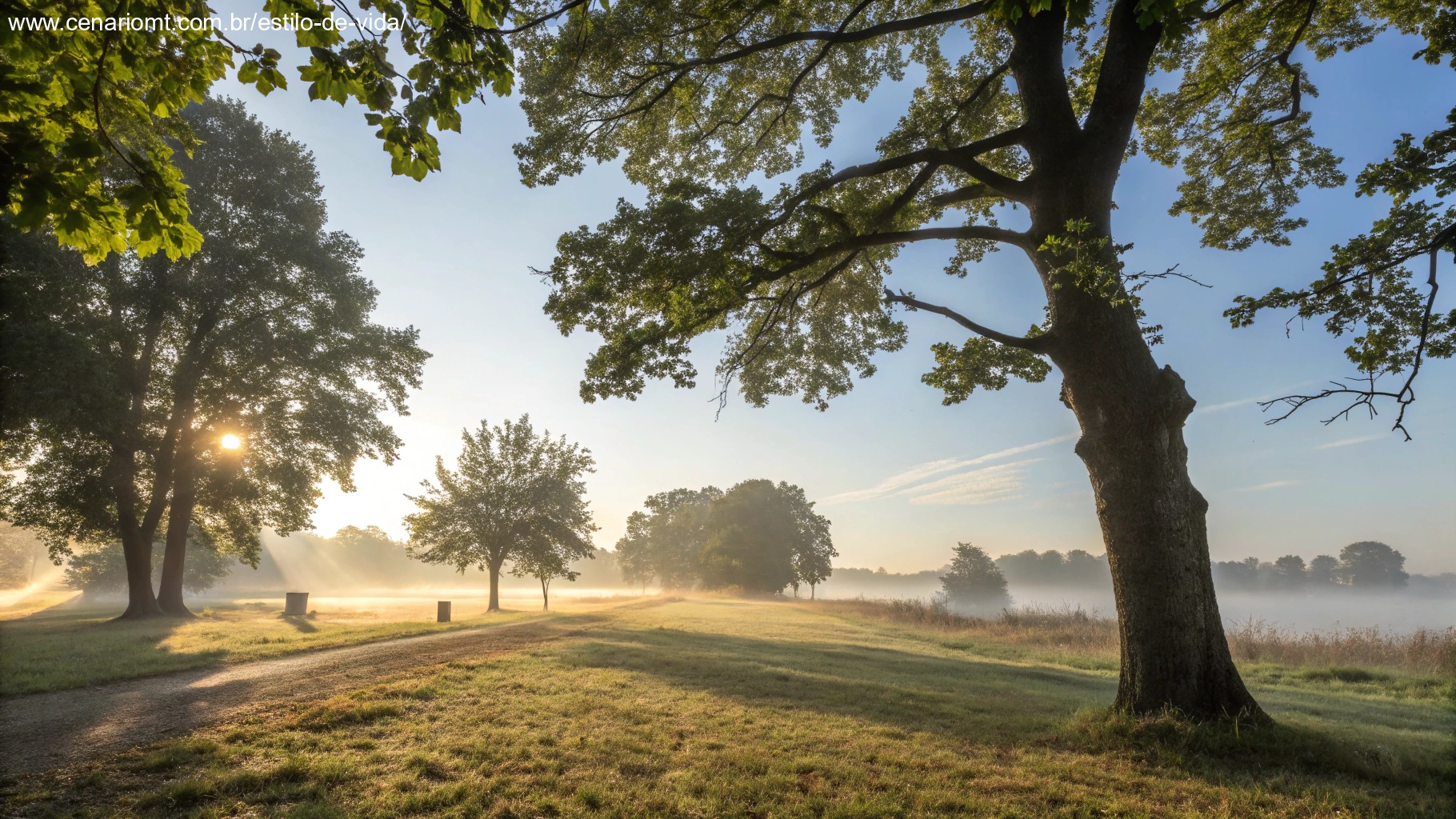 Imagem de uma manhã tranquila com luz suave e atmosfera pacífica, representando uma sexta-feira abençoada.