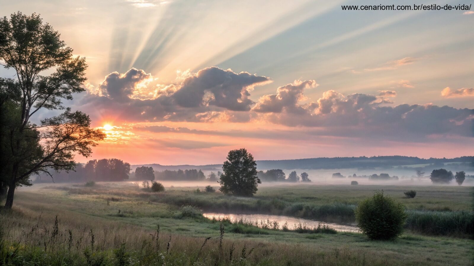 Imagem de um nascer do sol sereno representando paz e esperança em uma manhã abençoada.