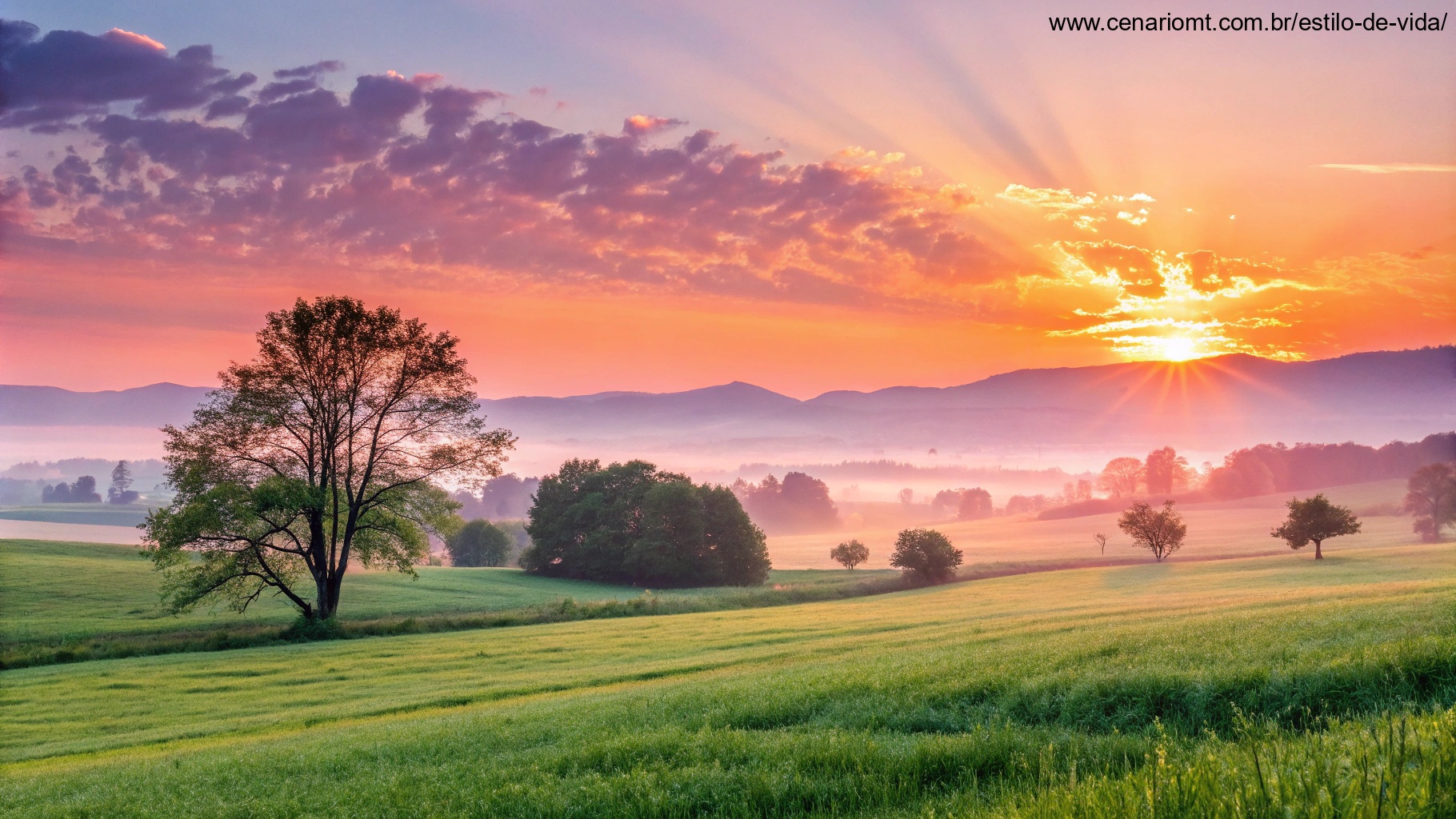 imagem de um nascer do sol em uma manhã calma, representando boas vibrações para segunda-feira