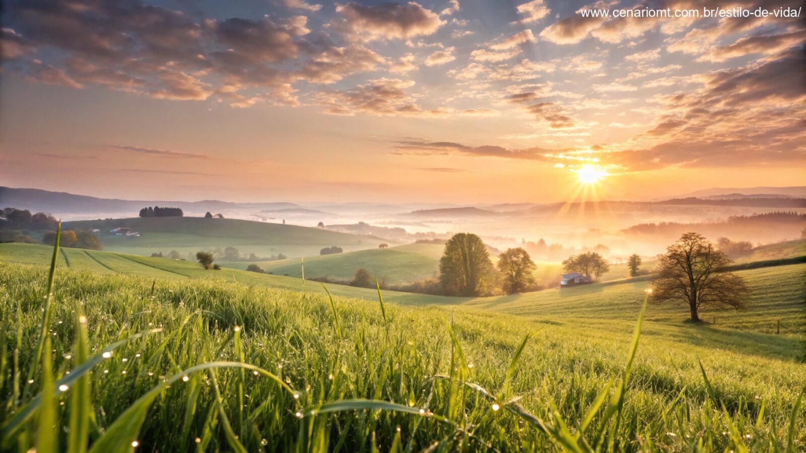 Imagem de um nascer do sol em um campo tranquilo, simbolizando renovação e positividade para a segunda-feira.