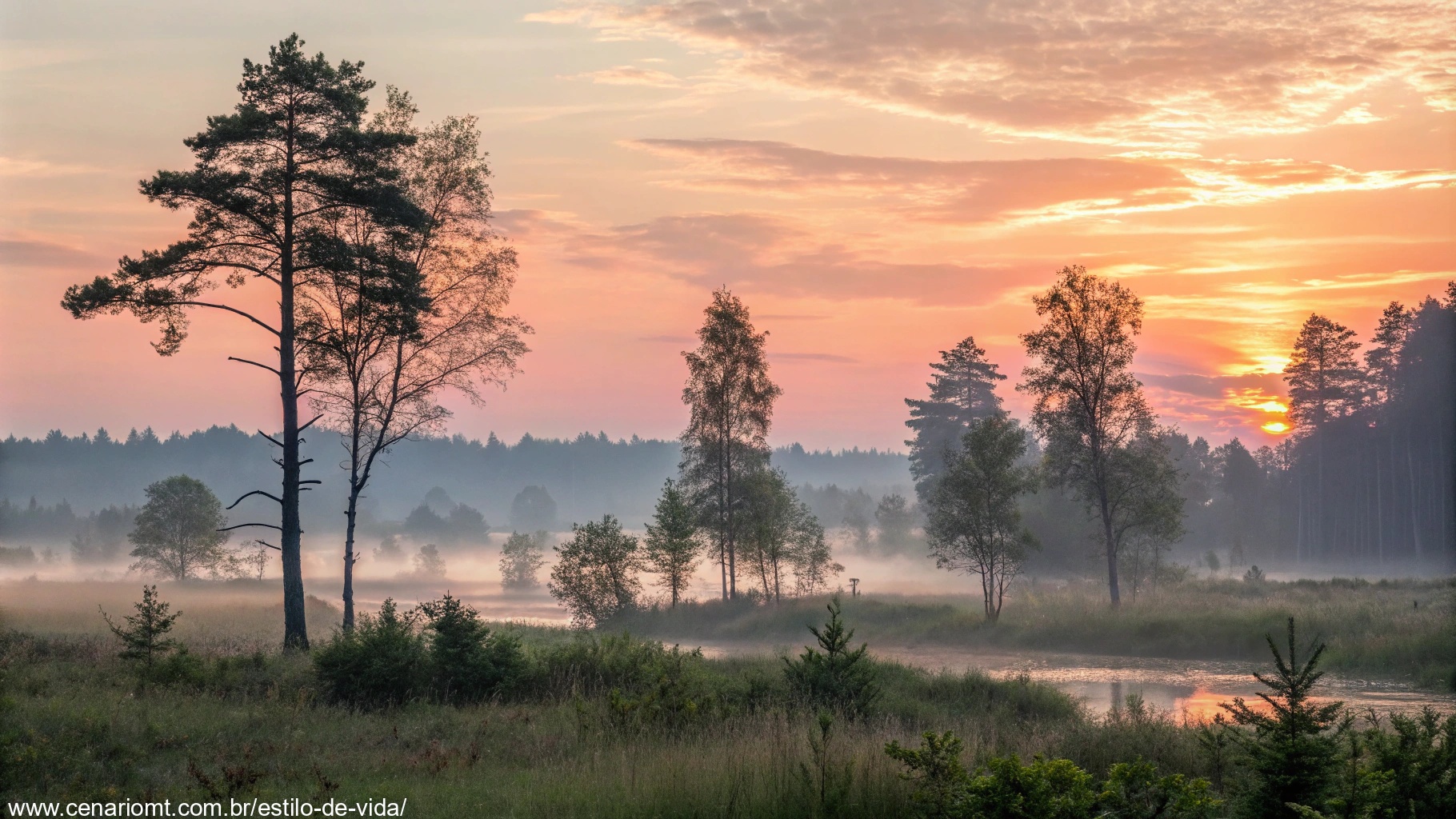 Imagem de um amanhecer sereno com raios suaves de sol em uma paisagem natural, transmitindo tranquilidade.
