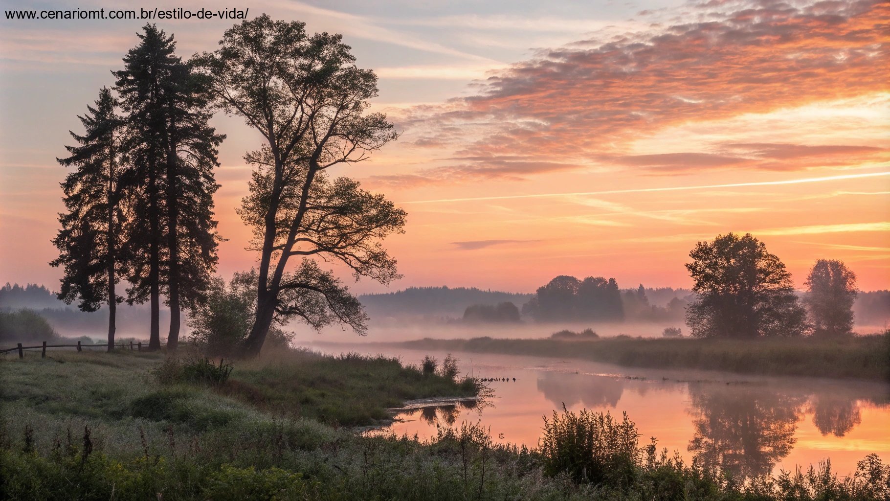 Imagem de um amanhecer tranquilo com luz suave e paisagem serena, ideal para reflexões matinais.
