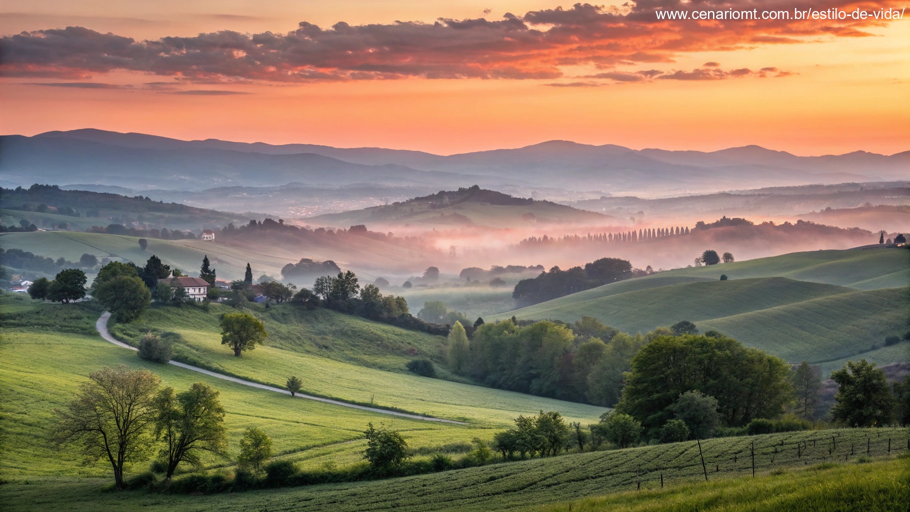 Imagem de um nascer do sol tranquilo em um campo sereno, representando reflexão e início de um novo dia.