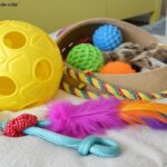 Diversos brinquedos essenciais para cães e gatos dispostos sobre uma superfície macia, incluindo bola de borracha, brinquedos interativos e pelúcias.