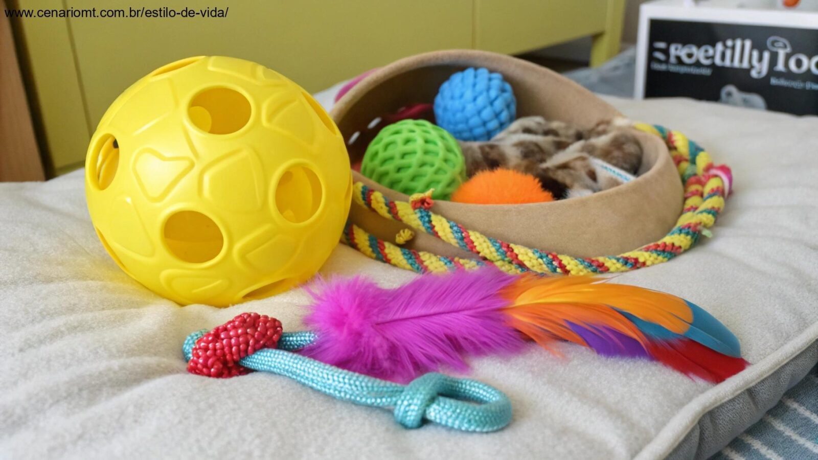 Diversos brinquedos essenciais para cães e gatos dispostos sobre uma superfície macia, incluindo bola de borracha, brinquedos interativos e pelúcias.