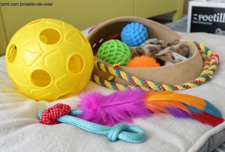 Diversos brinquedos essenciais para cães e gatos dispostos sobre uma superfície macia, incluindo bola de borracha, brinquedos interativos e pelúcias.