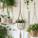 formas criativas de pendurar plantas em casa