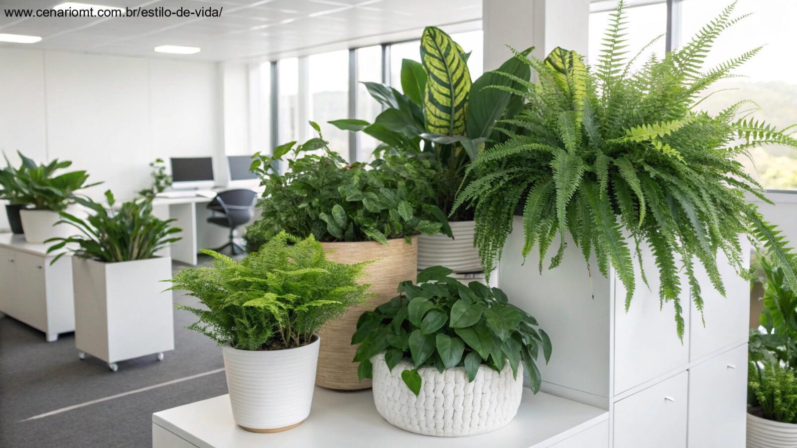 Dez plantas vibrantes e perfeitas para escritórios, organizadas em um ambiente moderno e bem iluminado.
