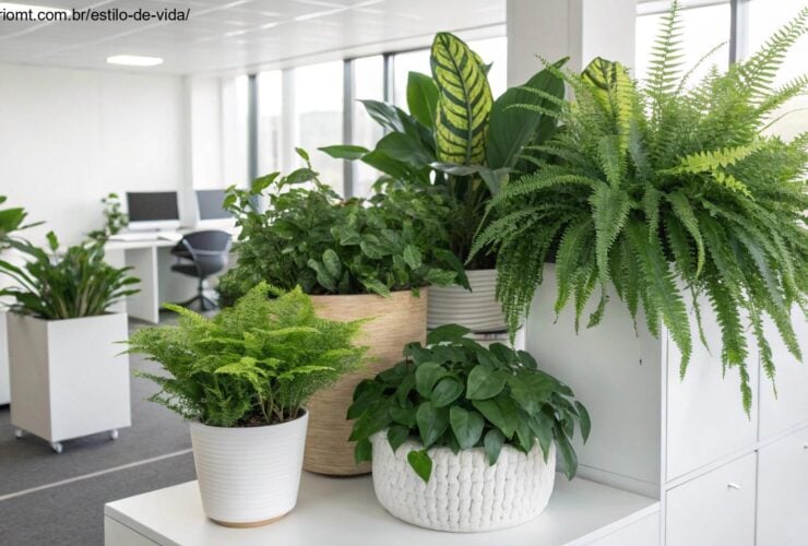 Dez plantas vibrantes e perfeitas para escritórios, organizadas em um ambiente moderno e bem iluminado.
