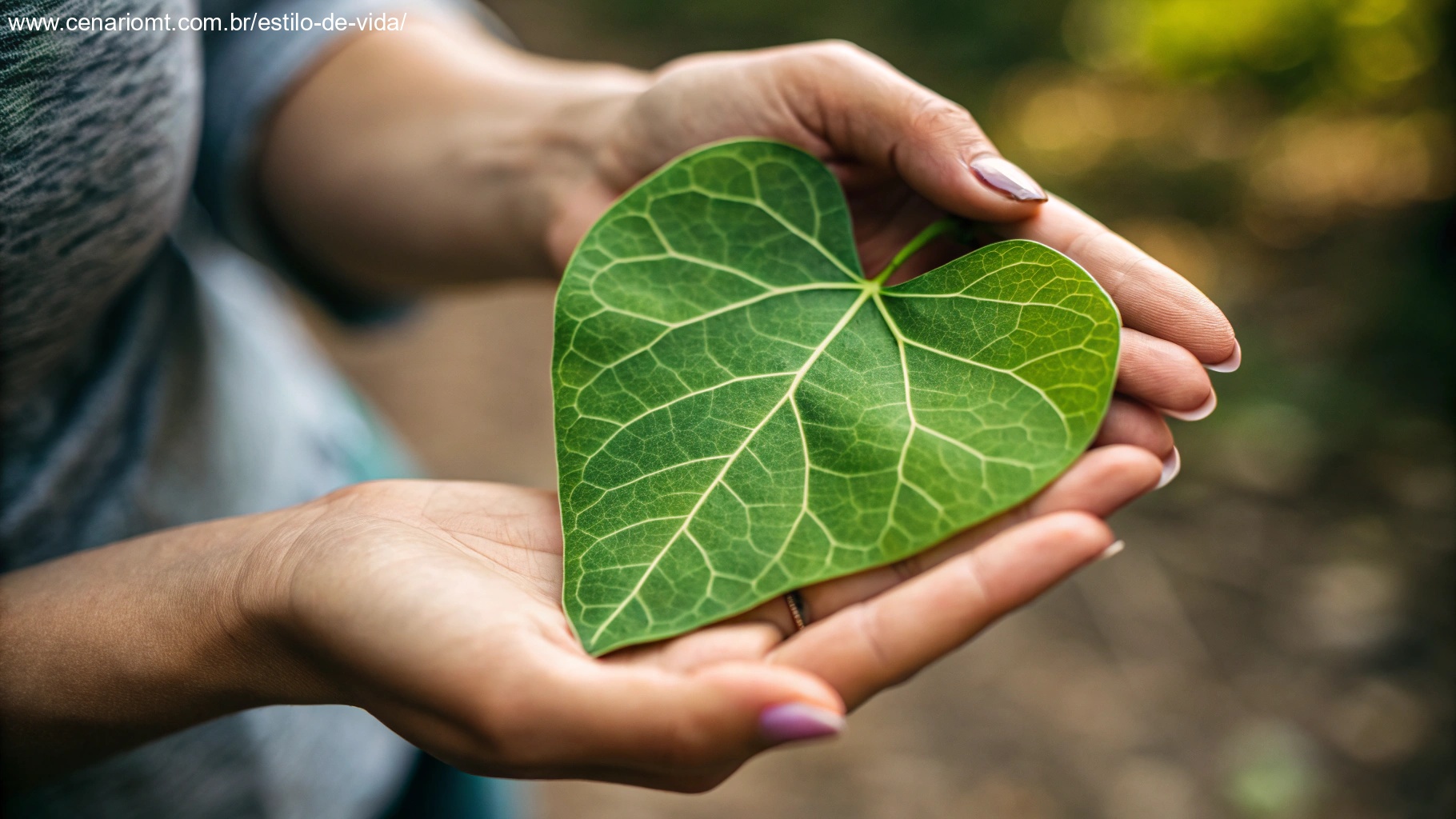 Close-up de mãos segurando uma folha em forma de coração, simbolizando gratidão e conexão com a natureza e a espiritualidade.