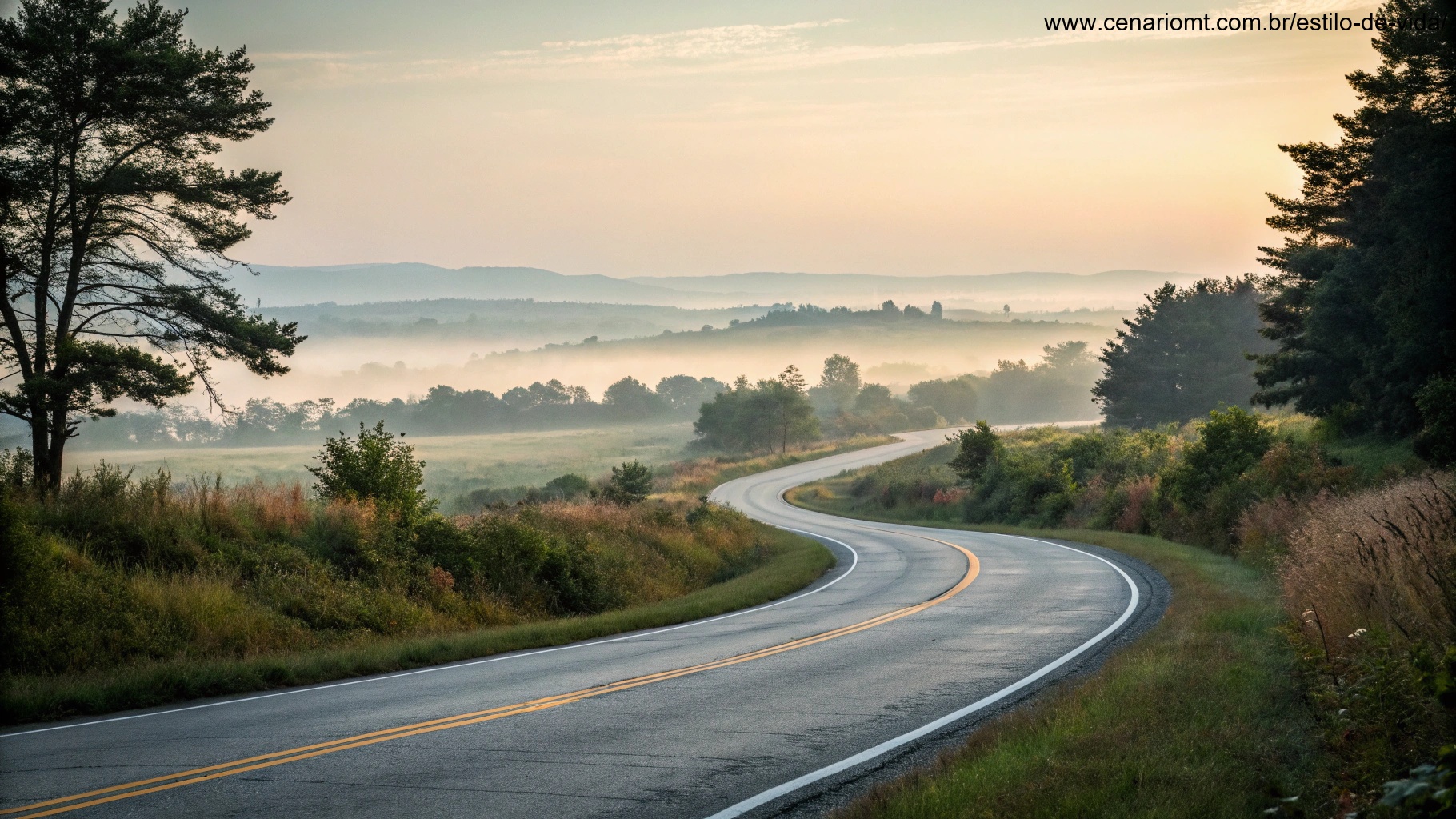 Curva na estrada onde o horizonte começa a se revelar, cercada pela natureza.
