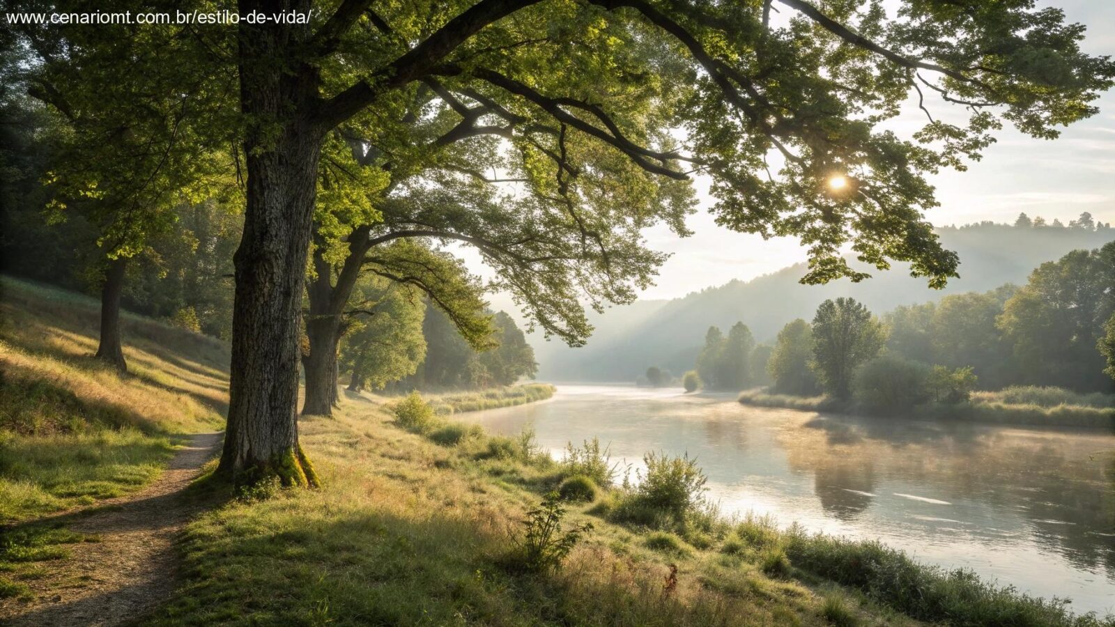 Uma paisagem tranquila representando a essência da não-violência, com luz suave filtrando pelas árvores e um rio calmo, simbolizando harmonia e tranquilidade.