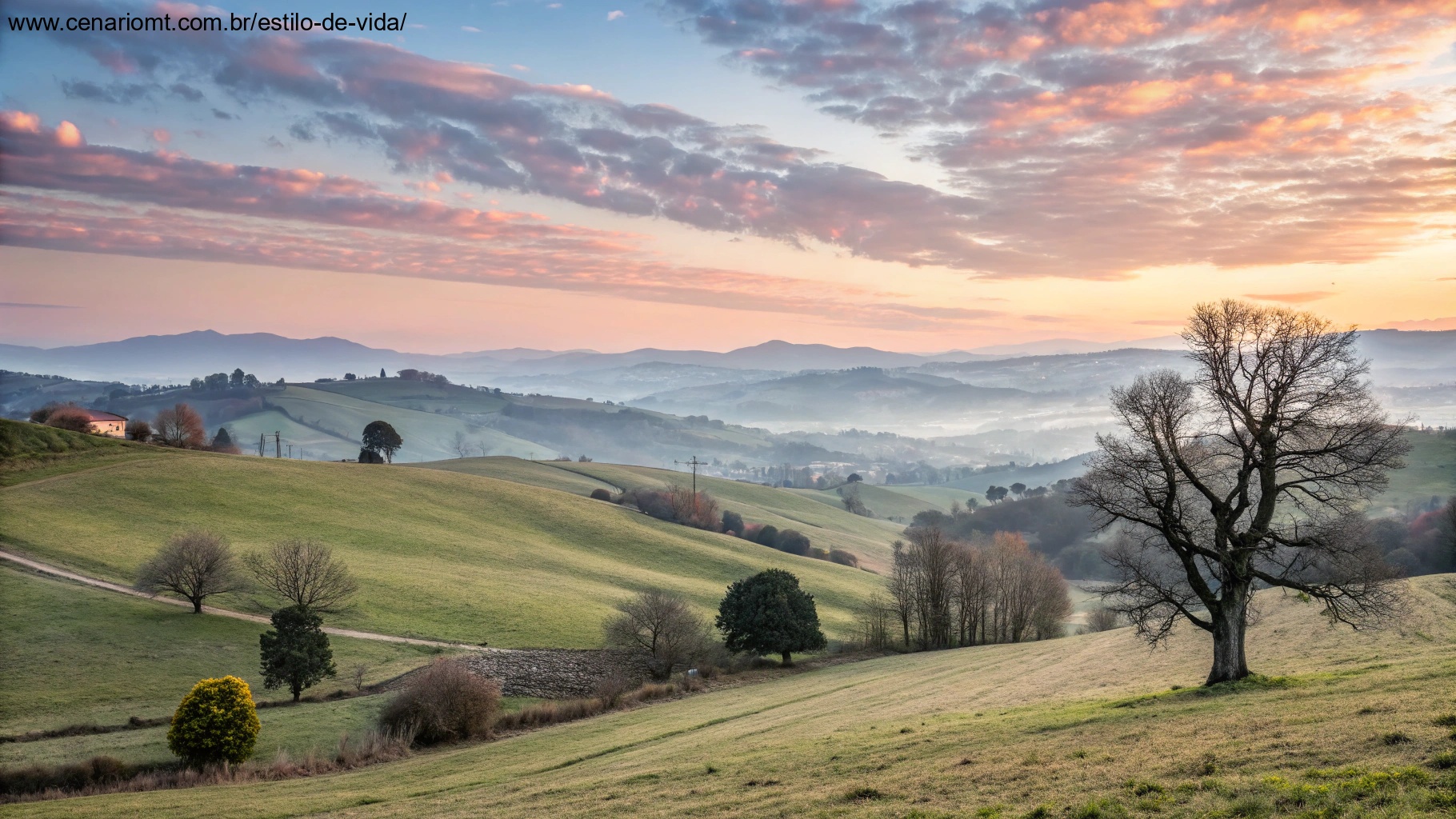 Paisagem tranquila do campo com um céu matinal brilhante, evocando a sensação de uma terça-feira abençoada em 21 de janeiro de 2025.