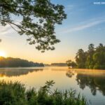 Nascer do sol sereno sobre um lago calmo com luz dourada refletindo na água, cercado por árvores verdes e um céu azul claro, evocando inspiração e energia para uma manhã de quarta-feira.