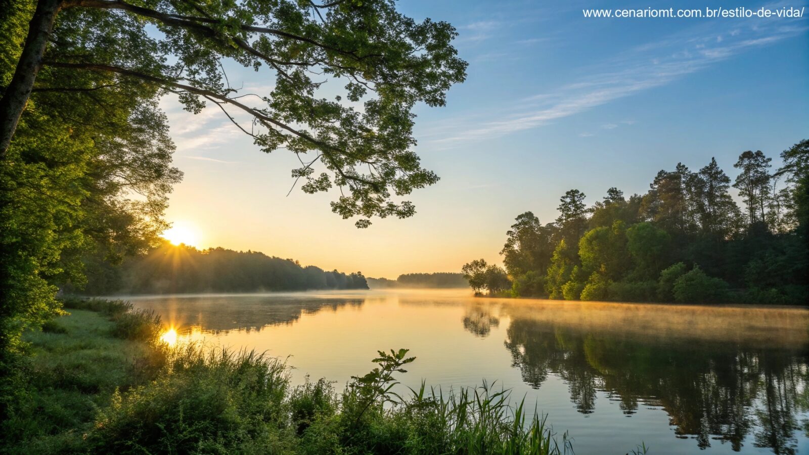 Nascer do sol sereno sobre um lago calmo com luz dourada refletindo na água, cercado por árvores verdes e um céu azul claro, evocando inspiração e energia para uma manhã de quarta-feira.