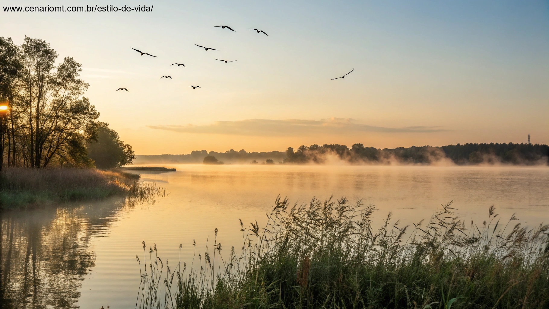 Um nascer do sol tranquilo sobre um lago calmo, com neblina subindo e pássaros voando ao longe, representando um novo começo para a quinta-feira, 23/01/2025.