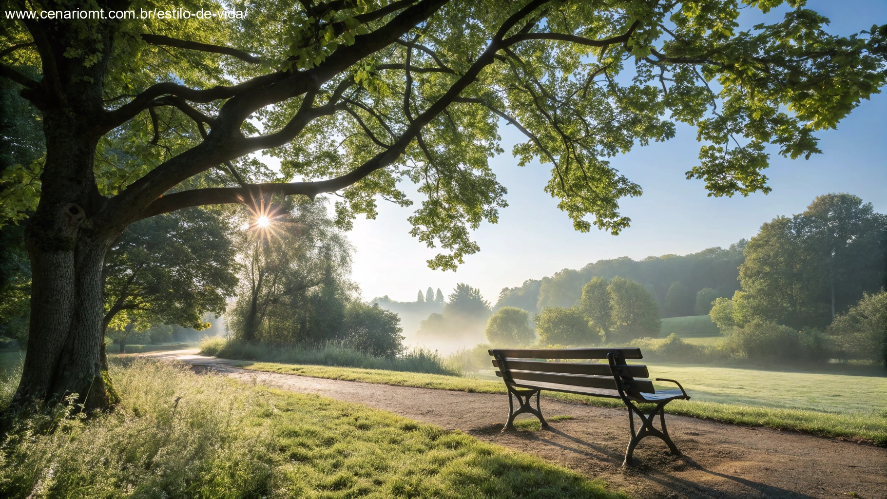 Banco de parque tranquilo sob uma árvore com a luz do sol filtrando pelas folhas, criando um cenário calmo e inspirador para uma manhã de sexta-feira.