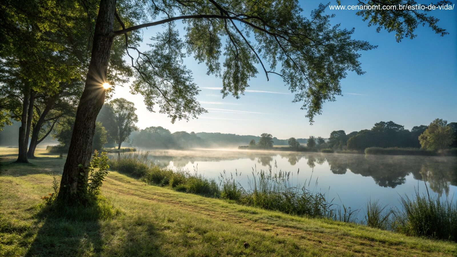 Cena tranquila de manhã com luz suave do sol, lago calmo e grama balançando ao vento.