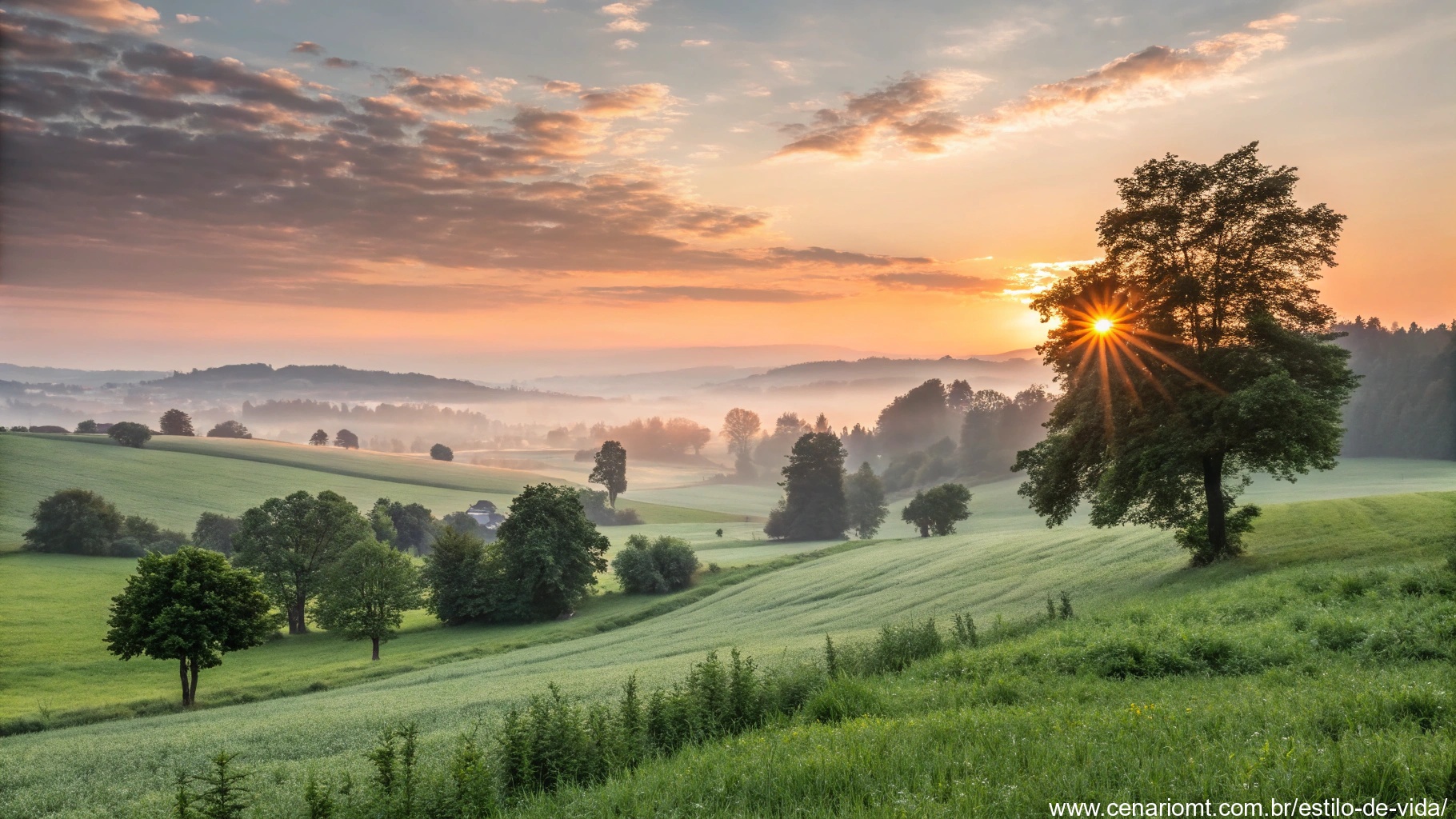 imagem de uma paisagem verde com o sol nascendo, simbolizando motivação e inspiração
