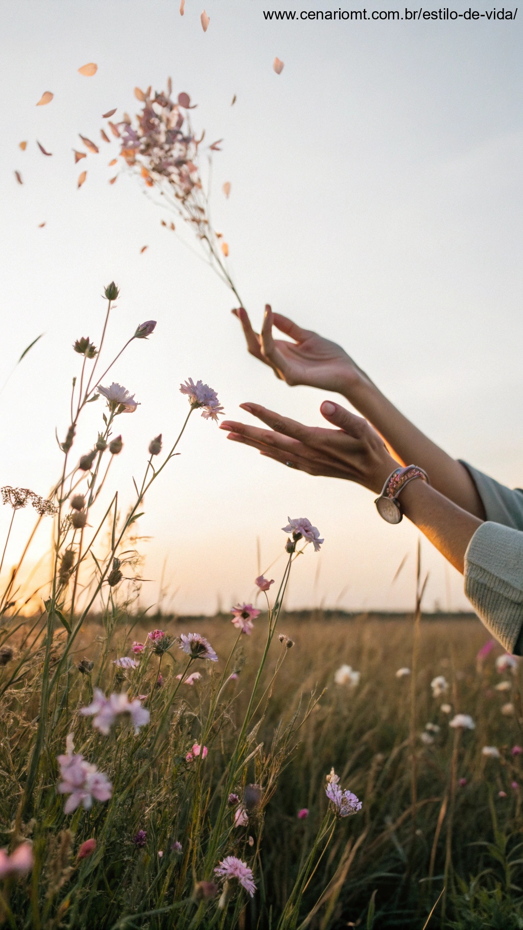 Mãos enviando boas energias em um campo de flores.