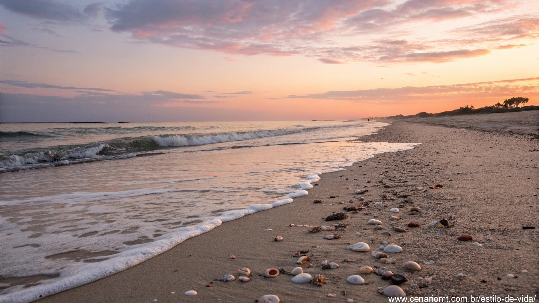 Praia tranquila ao nascer do sol com ondas suaves, conchas espalhadas na areia e um céu rosa e laranja, convidando à reflexão e gratidão por uma sexta-feira abençoada.