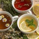 Variedade de chás naturais com ervas frescas e frutas