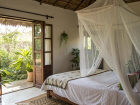 Quarto tranquilo com mosquiteiro sobre a cama e iluminação natural.