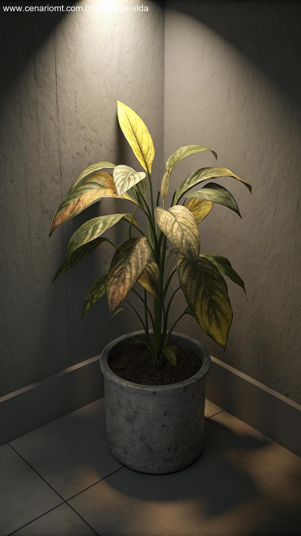 Planta colocada em um canto escuro, recebendo luz insuficiente.