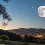 Uma noite tranquila iluminada pela lua cheia, com uma grande lua no céu, iluminando suavemente uma paisagem serena de árvores e colinas.