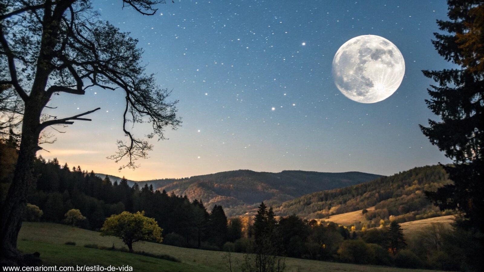 Uma noite tranquila iluminada pela lua cheia, com uma grande lua no céu, iluminando suavemente uma paisagem serena de árvores e colinas.