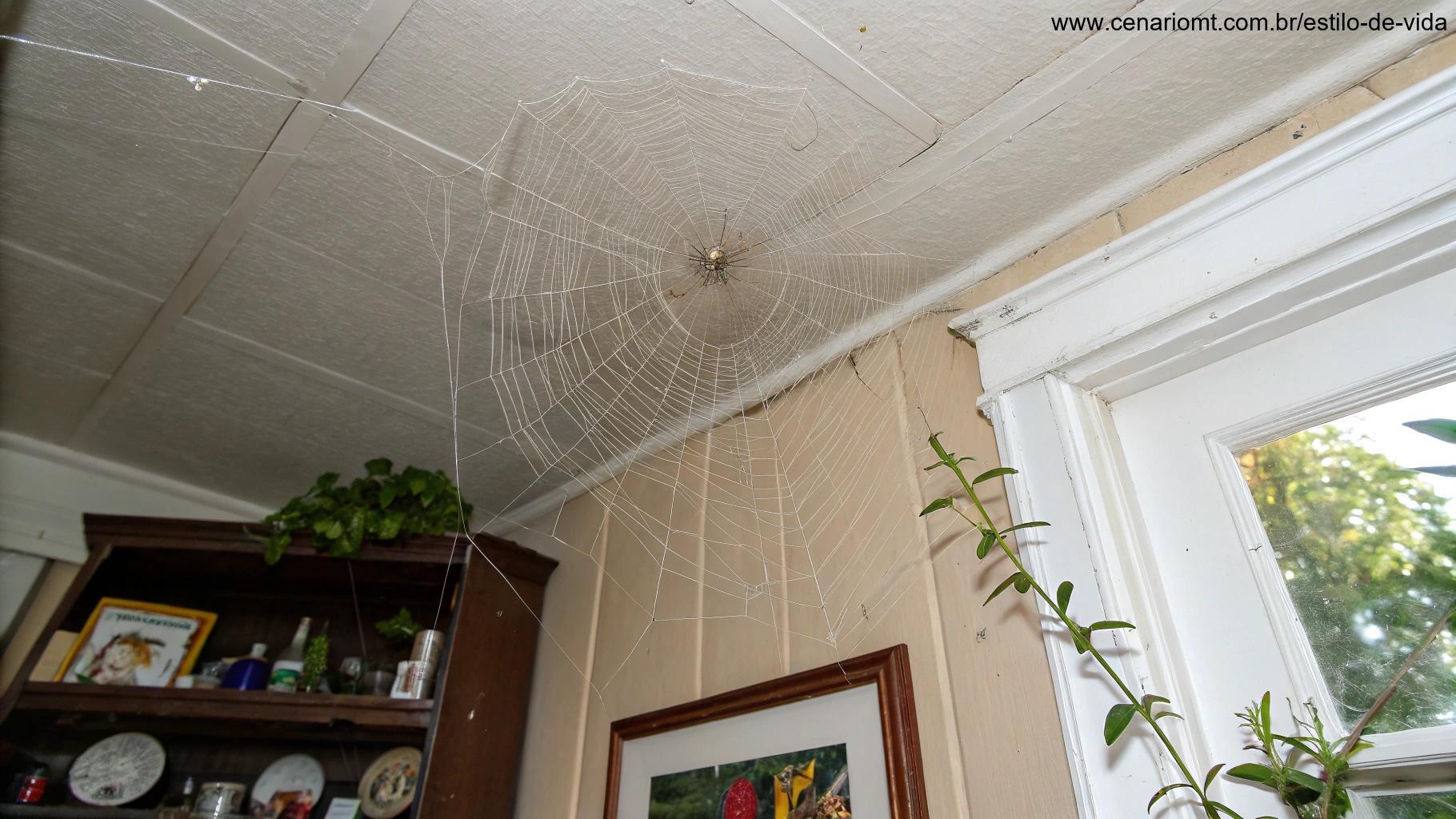 Um canto de casa mostrando uma teia de aranha, destacando áreas que podem atrair esses insetos.