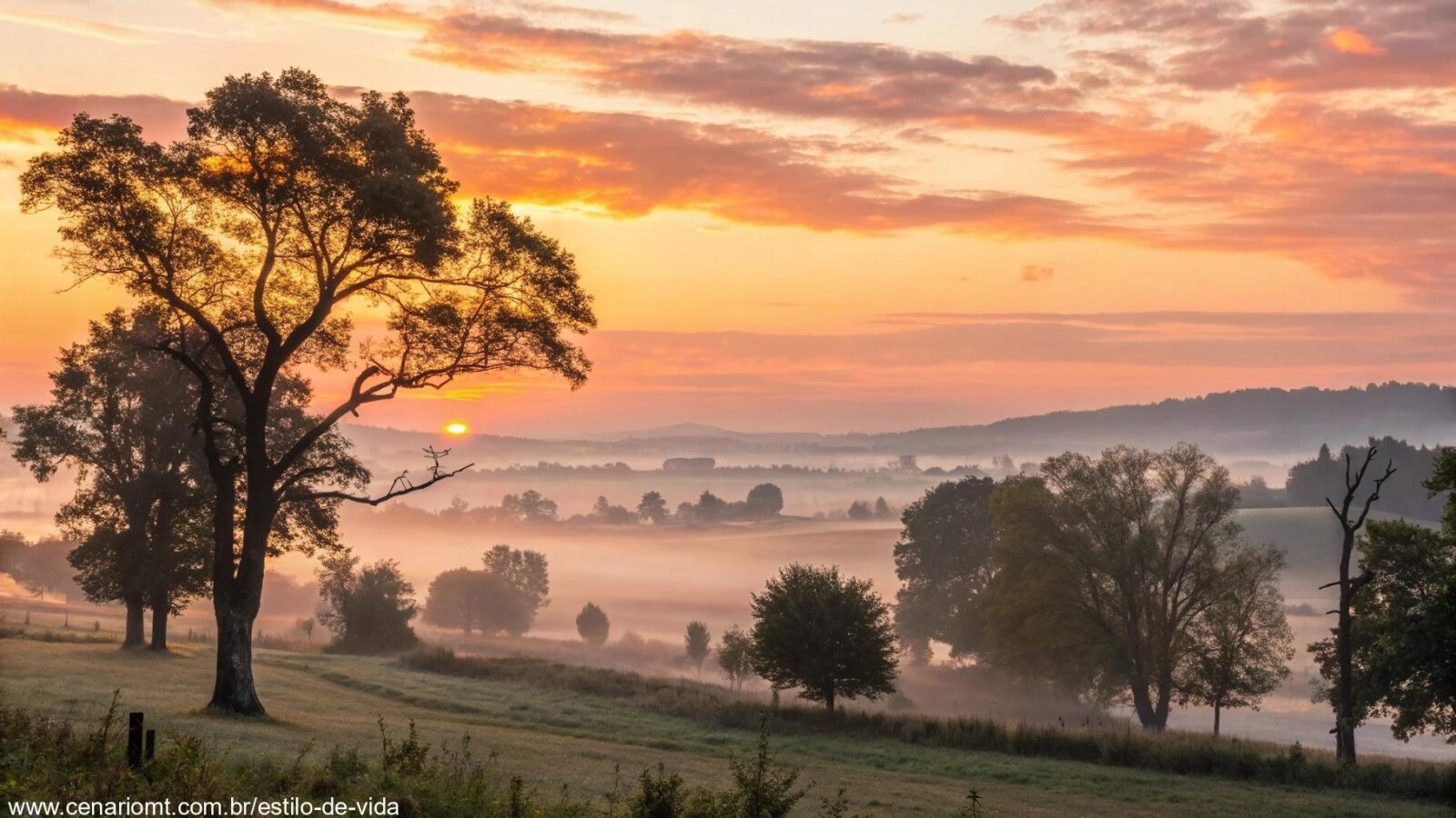 Amanhecer tranquilo com luz dourada suave, trazendo paz e bênçãos para uma bela quinta-feira.