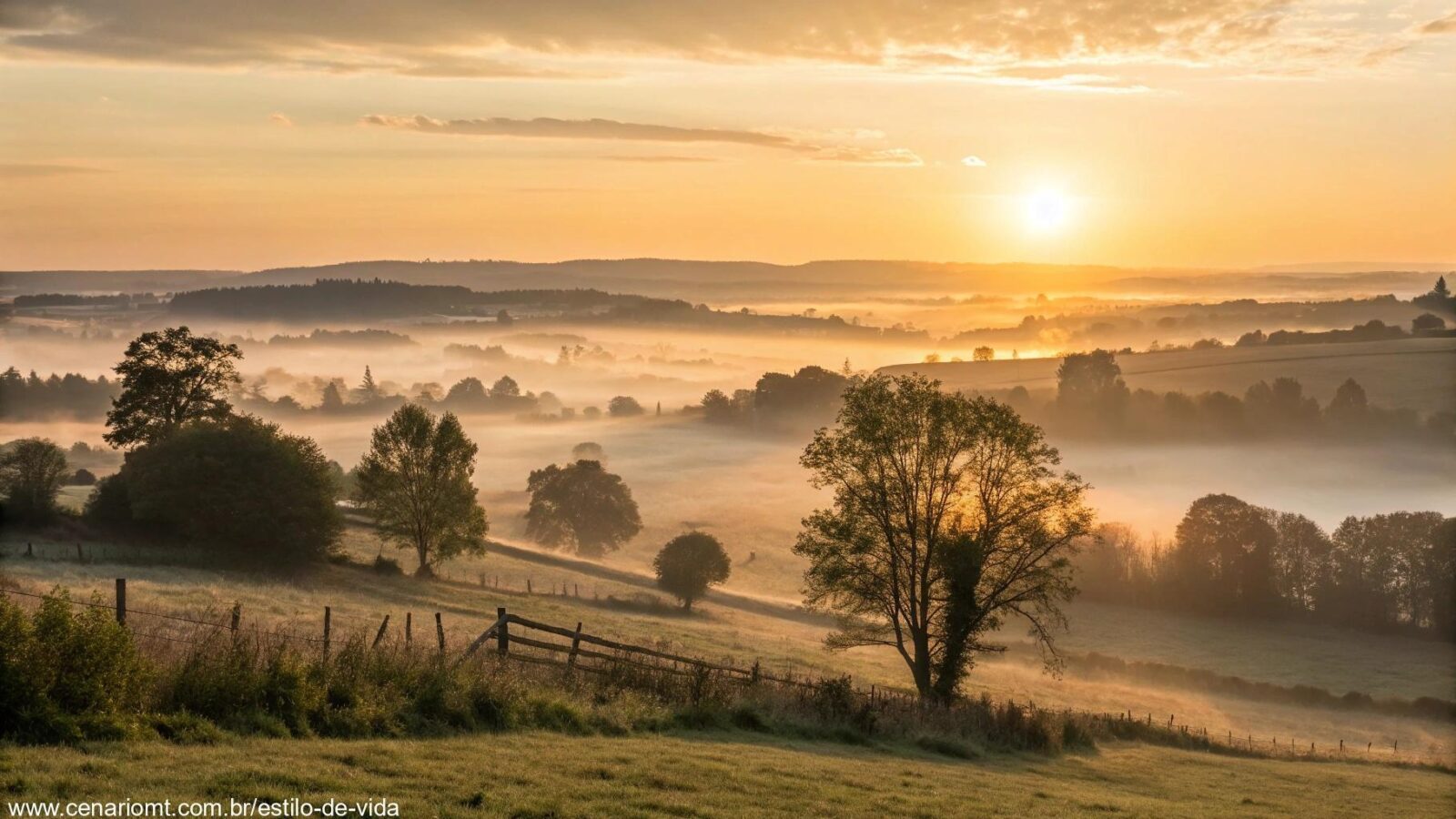Nascer do sol tranquilo sobre o campo, transmitindo paz e esperança para a semana.