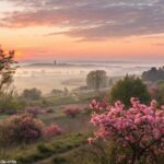 Amanhecer sereno sobre uma paisagem tranquila com flores florescendo, simbolizando esperança e renovação para o mês de março de 2025.