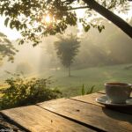 Cenário tranquilo de manhã com luz dourada e xícara de café sobre a mesa.
