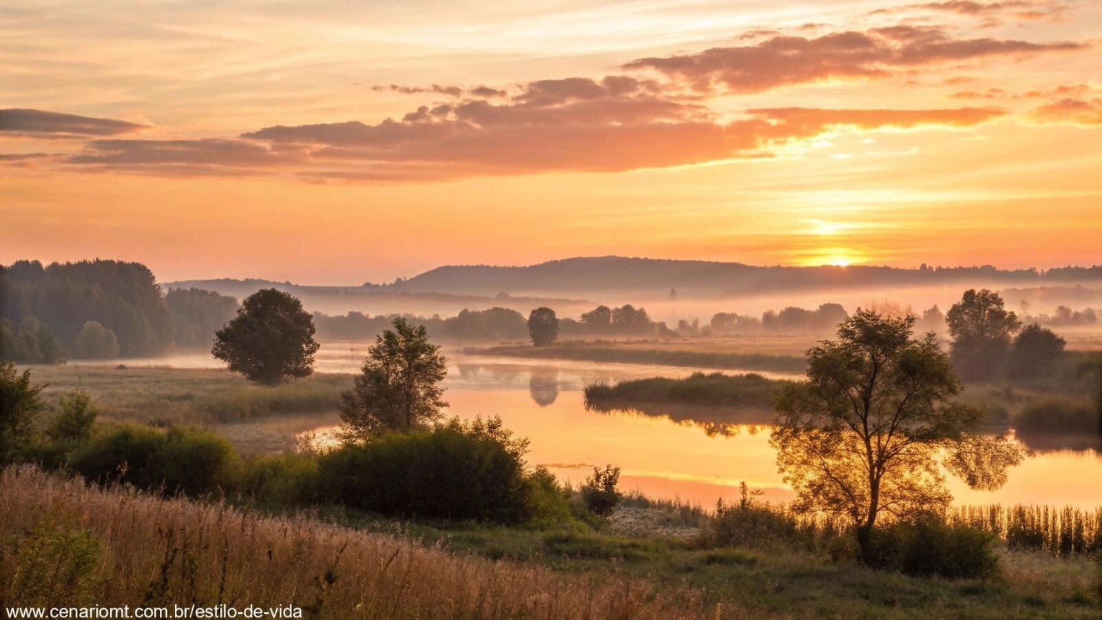 Amanhecer tranquilo com luz dourada suave, transmitindo reflexão e carinho.