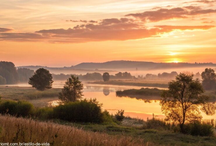 Amanhecer tranquilo com luz dourada suave, transmitindo reflexão e carinho.