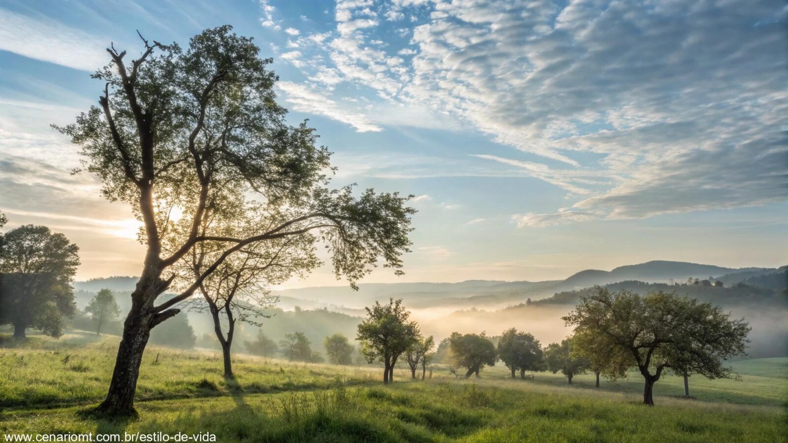 Mensagem de bom dia com paisagem serena e luz suave.