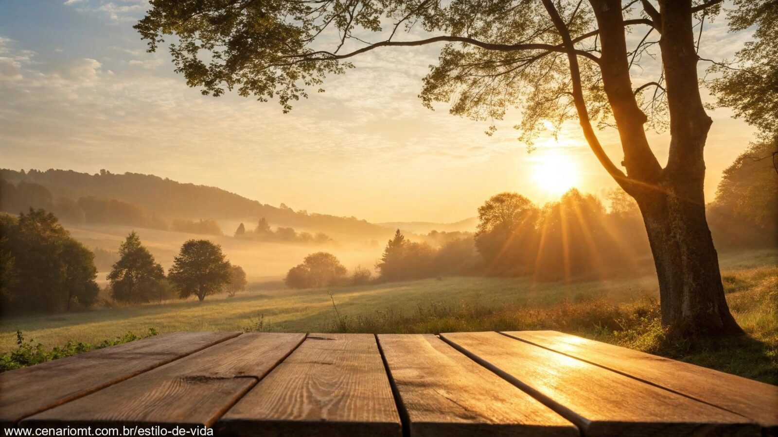 Uma bela manhã de sábado com um nascer do sol dourado e uma xícara de café.