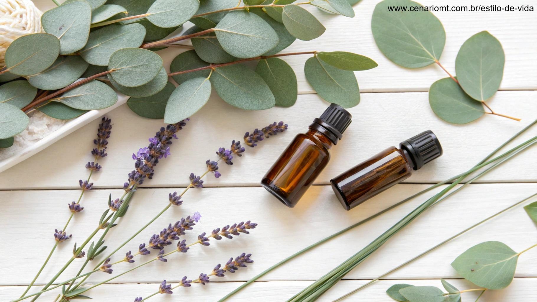 Soluções naturais contra traças utilizando plantas e óleos essenciais.