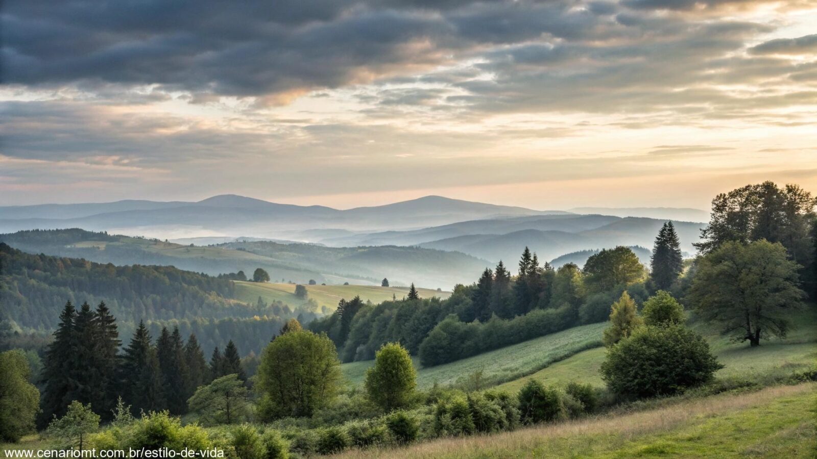 Paisagem serena com luz suave da manhã, representando um momento de reflexão e inspiração.