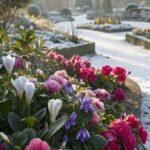 18 Flores e Plantas Perfeitas para o Jardim de Inverno